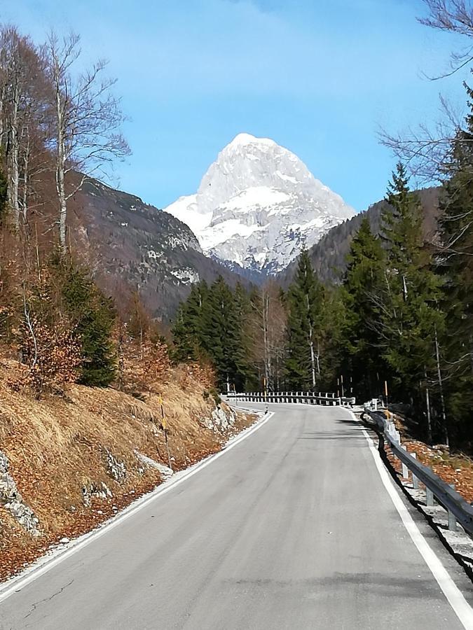 Zbogar Lägenhet Rateče Exteriör bild