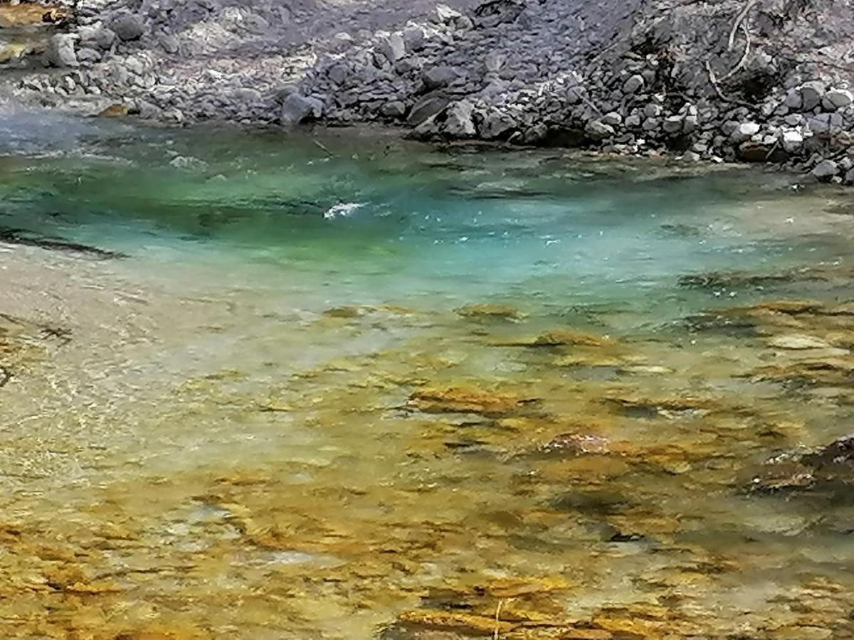 Zbogar Lägenhet Rateče Exteriör bild